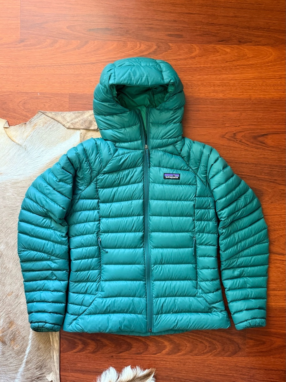 Patagonia women’s down sweater Hoody | Women's Small